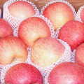 100-125 nouvelles pommes FUJI fraîches et délicieuses